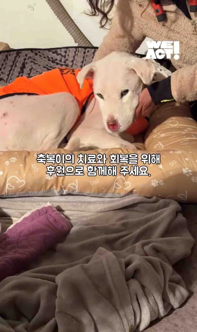 보고싶은 할아버지에게 현장 사진