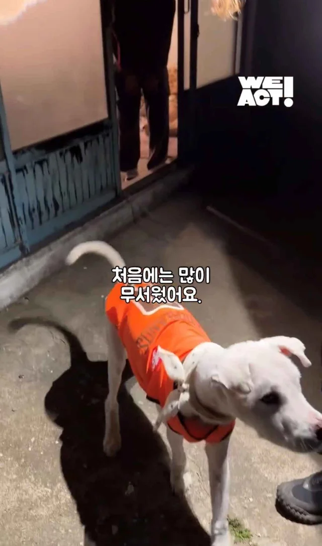 보고싶은 할아버지에게 현장 사진