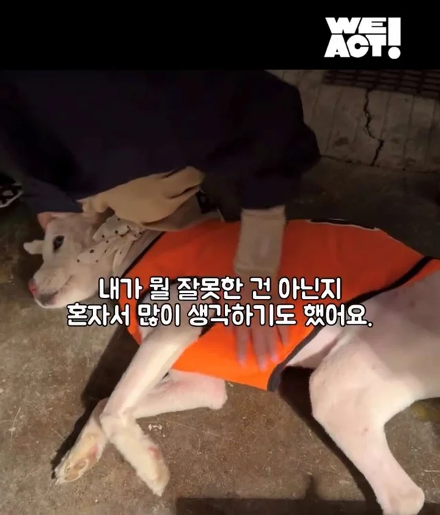 보고싶은 할아버지에게 현장 사진