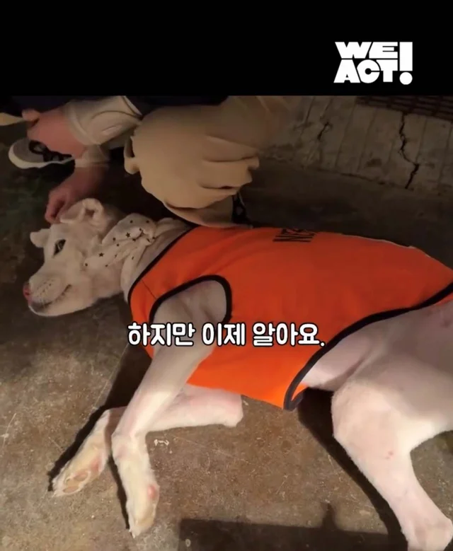 보고싶은 할아버지에게 현장 사진
