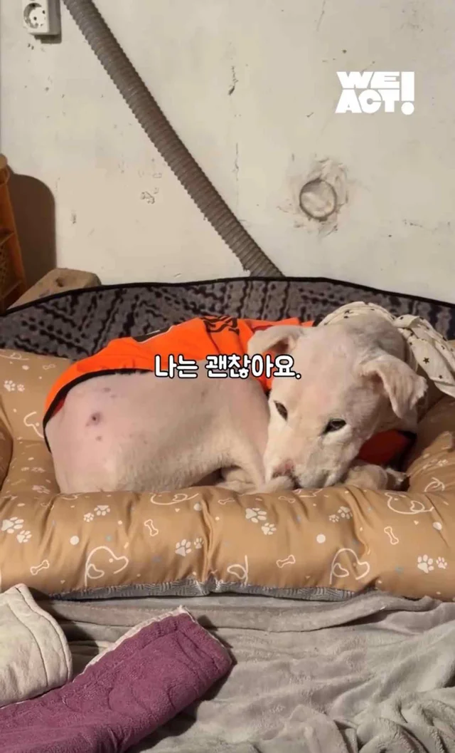 보고싶은 할아버지에게 현장 사진