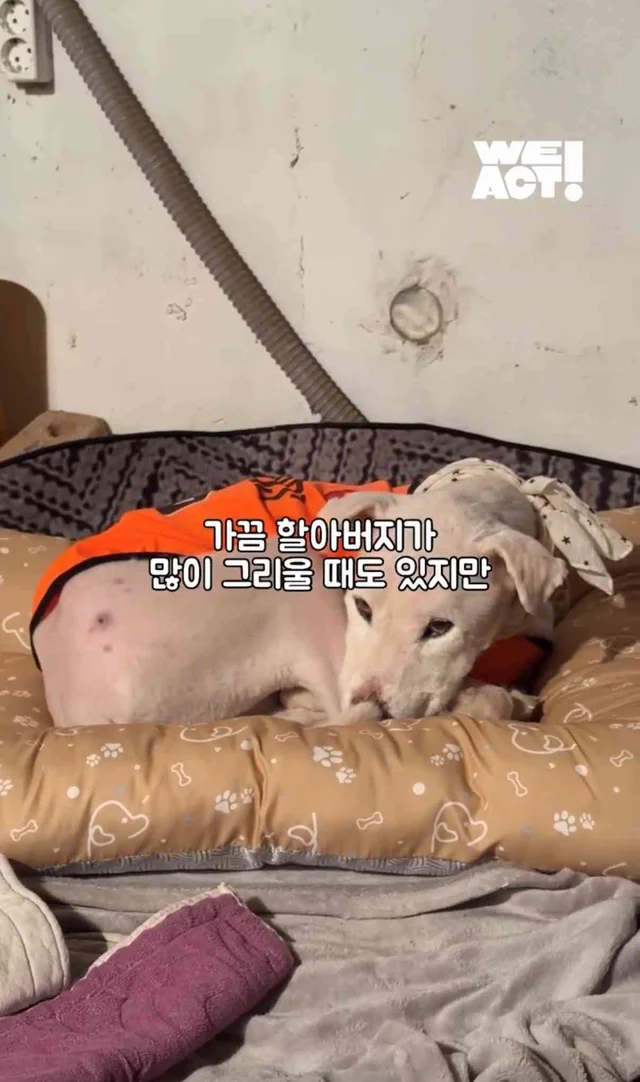 보고싶은 할아버지에게 현장 사진