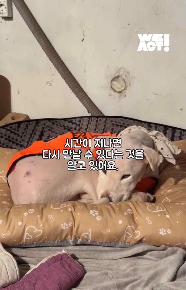 보고싶은 할아버지에게 현장 사진