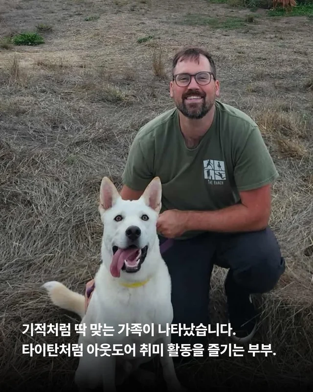 몽둥이로 맞는 개, 그 자리를 대신 채웠던 강아지 현장 사진