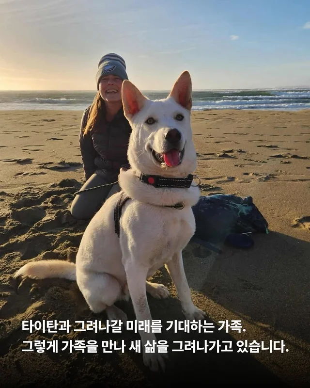 몽둥이로 맞는 개, 그 자리를 대신 채웠던 강아지 현장 사진