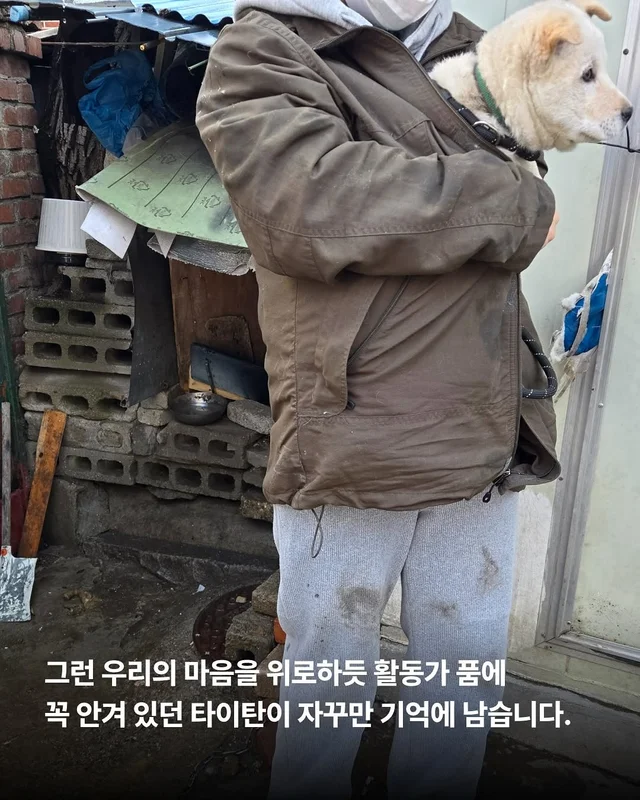 몽둥이로 맞는 개, 그 자리를 대신 채웠던 강아지 현장 사진