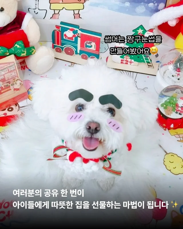 구조견들도 Merry Chrismas! #위액트나오미 #위액트포.. 현장 사진