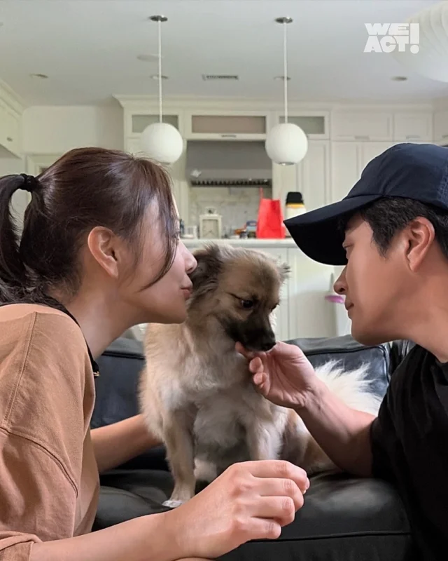 새끼들을 먼저 보내고, 안락사 명단에 오른 개. 현장 사진