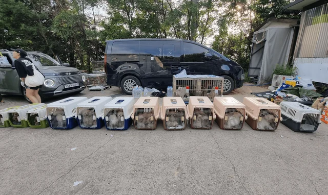화성허가번식장_2 현장 사진