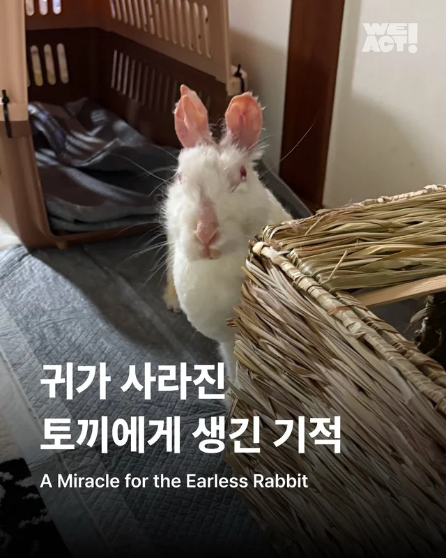 경북산불구조-위액트 프릴 현장 사진