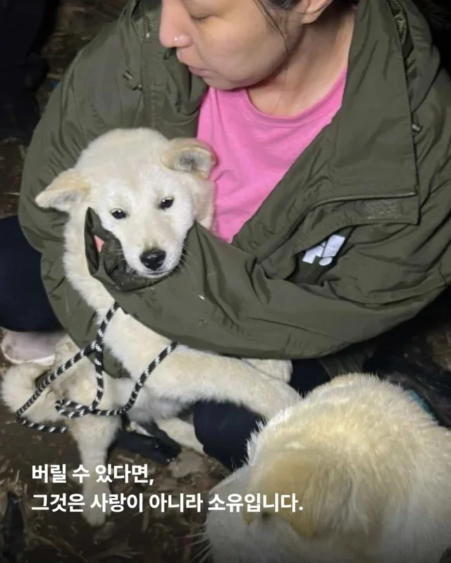 가족이라고 불렀습니다. 그런데 버렸습니다. 현장 사진