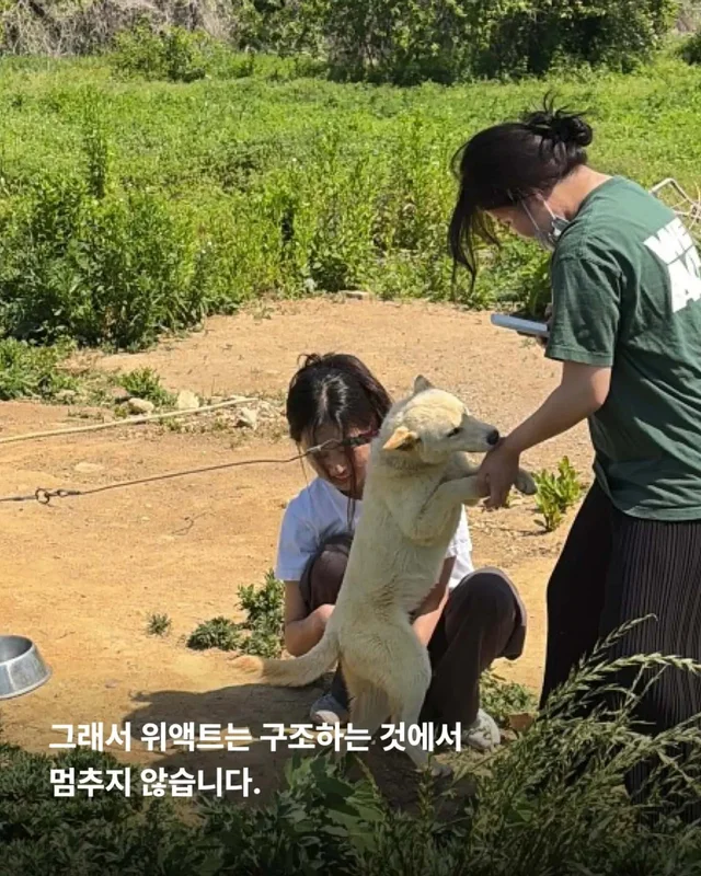 가족이라고 불렀습니다. 그런데 버렸습니다. 현장 사진