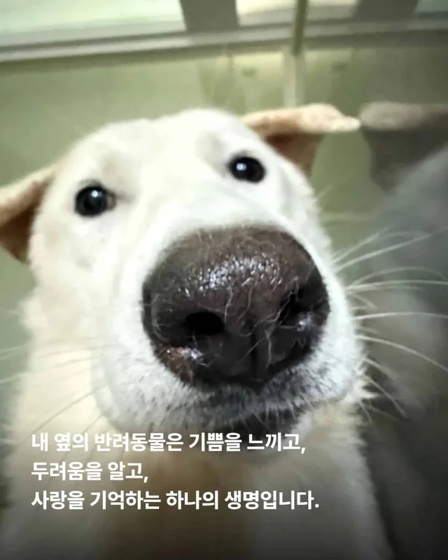 가족이라고 불렀습니다. 그런데 버렸습니다. 현장 사진