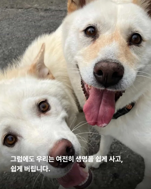 가족이라고 불렀습니다. 그런데 버렸습니다. 현장 사진