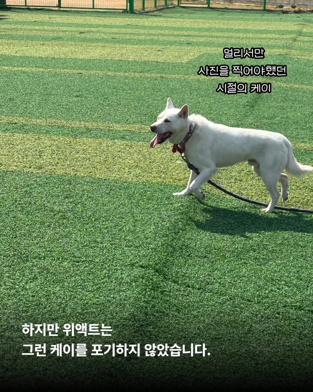 제가 구조된 지 벌써 7년이나 되었다구요? #위액트케.. 현장 사진