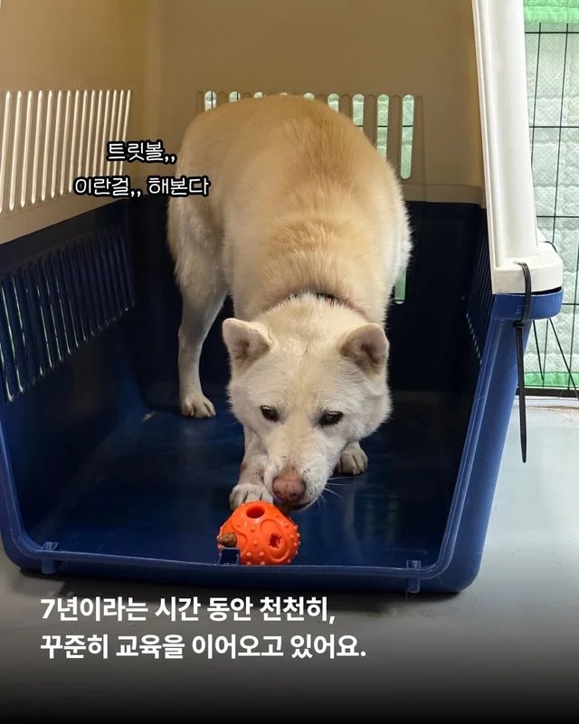 제가 구조된 지 벌써 7년이나 되었다구요? #위액트케.. 현장 사진