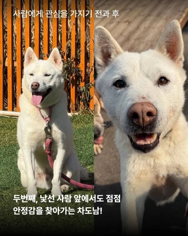 제가 구조된 지 벌써 7년이나 되었다구요? #위액트케.. 현장 사진