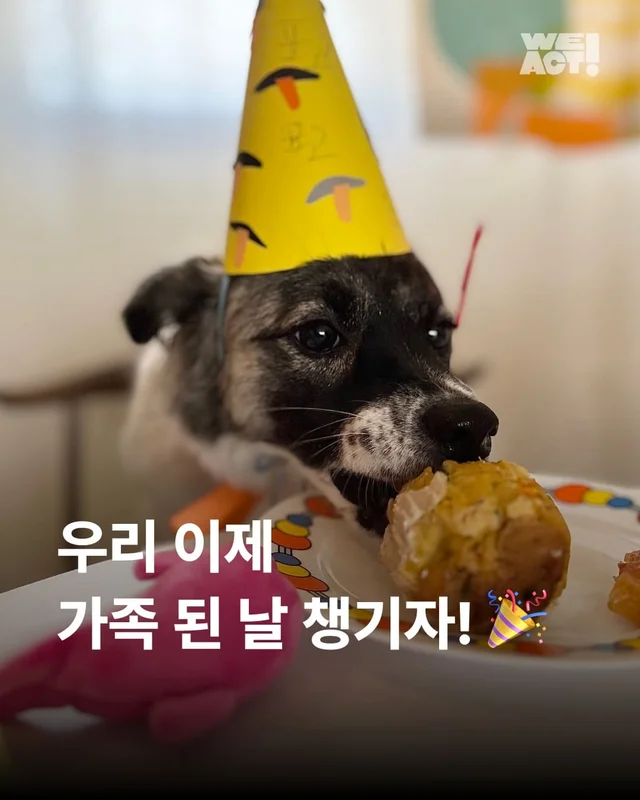 우리 이제 가족 된 날 챙기자 ! 현장 사진