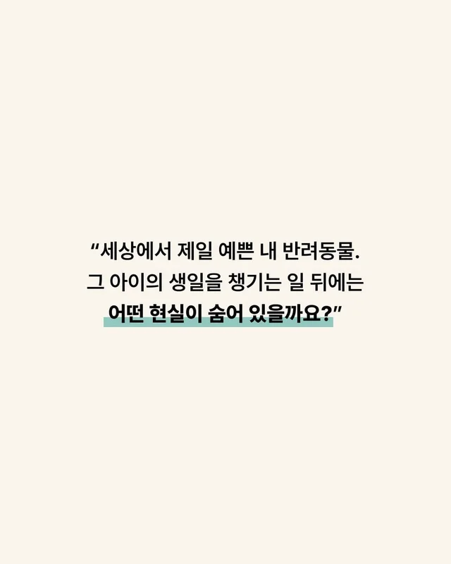 우리 이제 가족 된 날 챙기자 ! 현장 사진