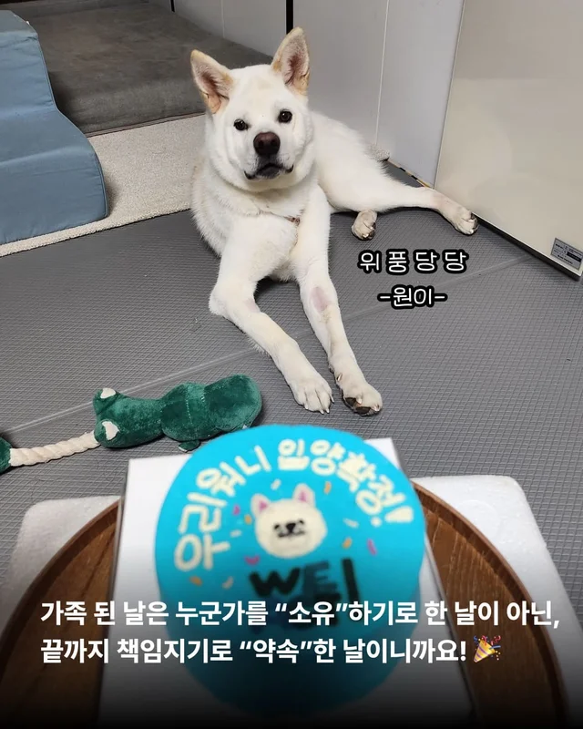 우리 이제 가족 된 날 챙기자 ! 현장 사진
