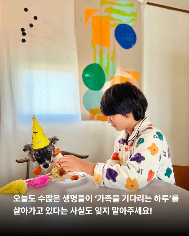 우리 이제 가족 된 날 챙기자 ! 현장 사진