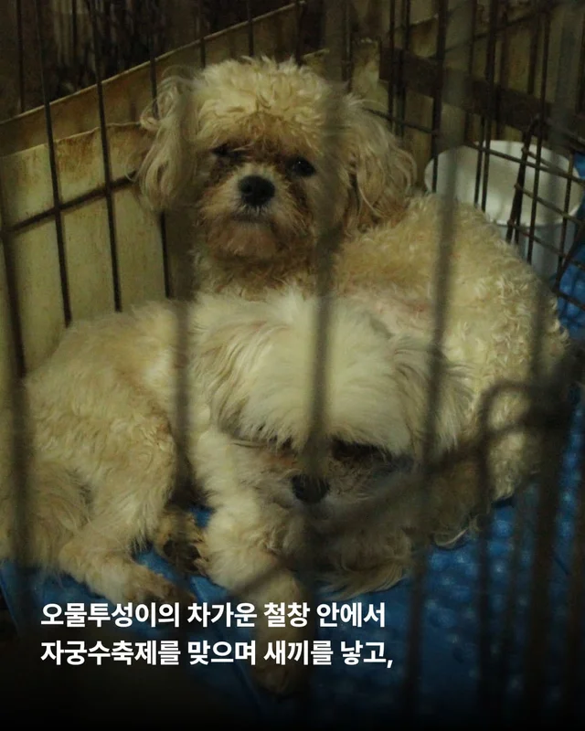 우리 이제 가족 된 날 챙기자 ! 현장 사진