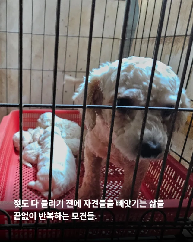 우리 이제 가족 된 날 챙기자 ! 현장 사진