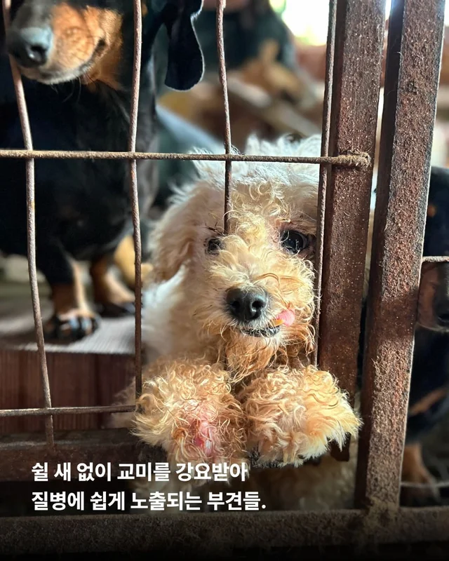 우리 이제 가족 된 날 챙기자 ! 현장 사진