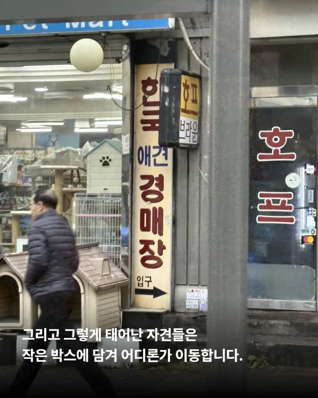 우리 이제 가족 된 날 챙기자 ! 현장 사진
