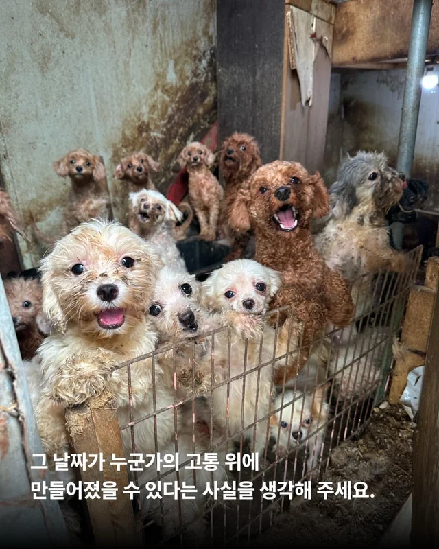 우리 이제 가족 된 날 챙기자 ! 현장 사진