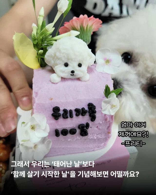 우리 이제 가족 된 날 챙기자 ! 현장 사진