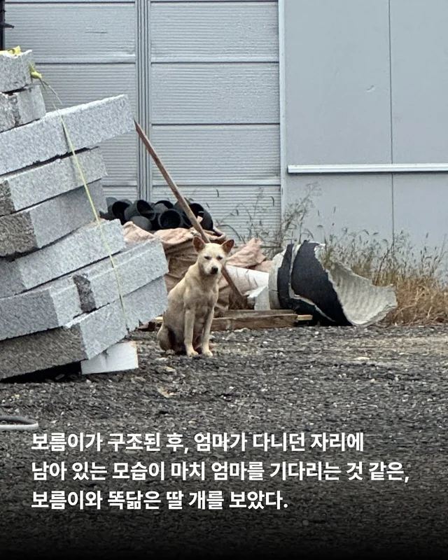화성피부병가족, 위액트예원 현장 사진