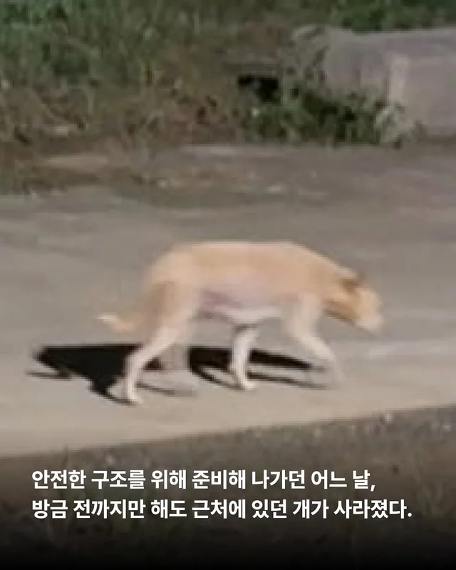 화성피부병가족, 위액트예원 현장 사진