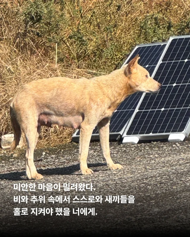 화성피부병가족, 위액트예원 현장 사진