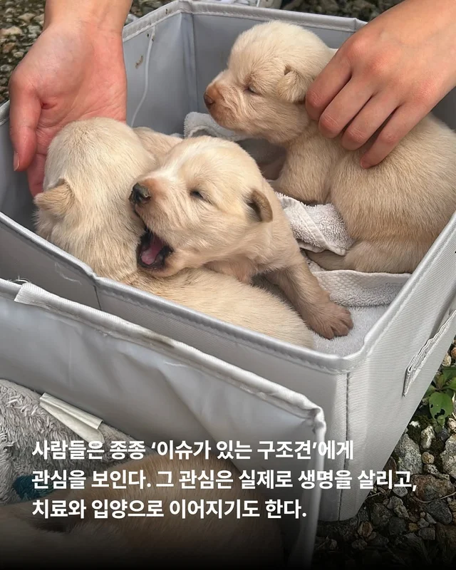 화성피부병가족, 위액트예원 현장 사진
