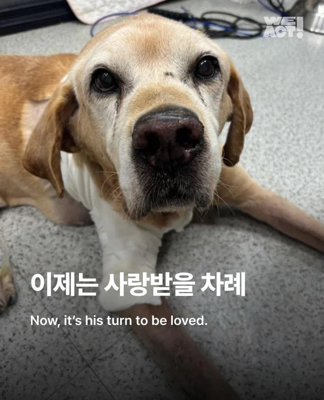 이제는 사랑 받을 차례 현장 사진