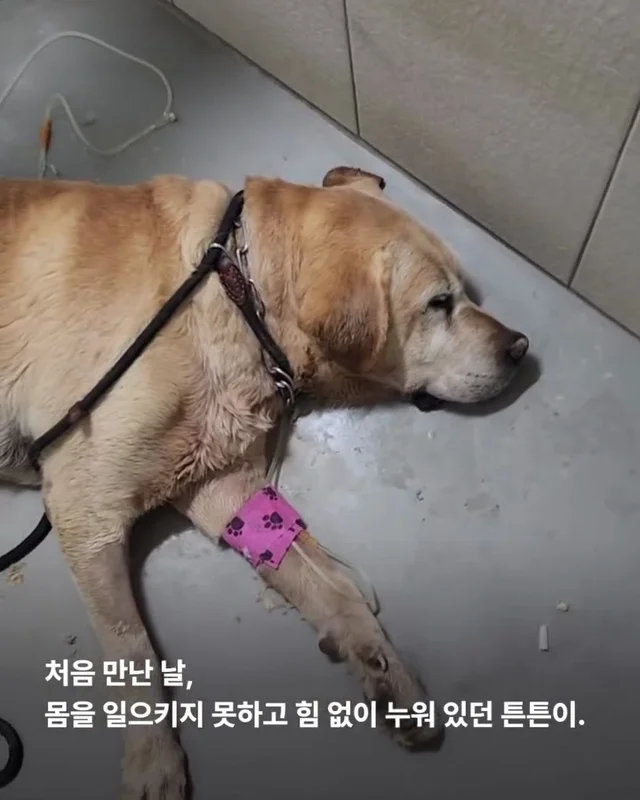 이제는 사랑 받을 차례 현장 사진