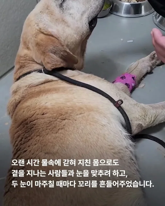 이제는 사랑 받을 차례 현장 사진