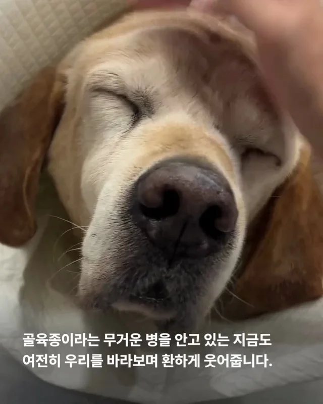 이제는 사랑 받을 차례 현장 사진
