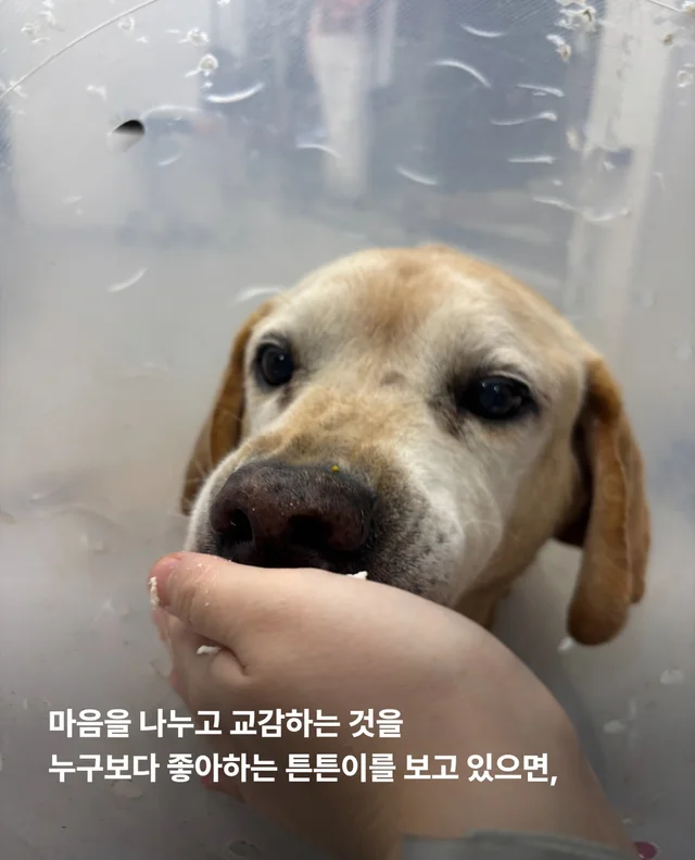 이제는 사랑 받을 차례 현장 사진