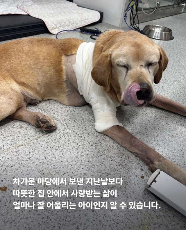 이제는 사랑 받을 차례 현장 사진
