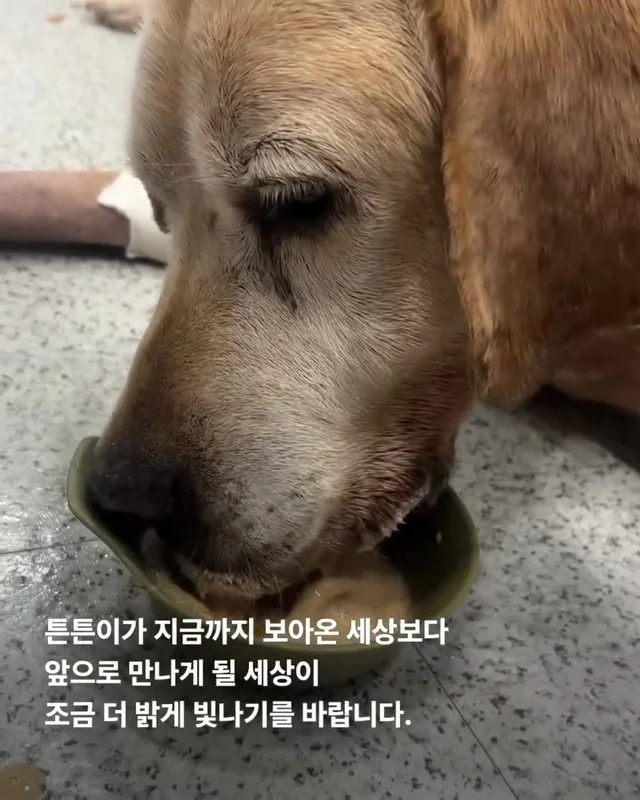 이제는 사랑 받을 차례 현장 사진