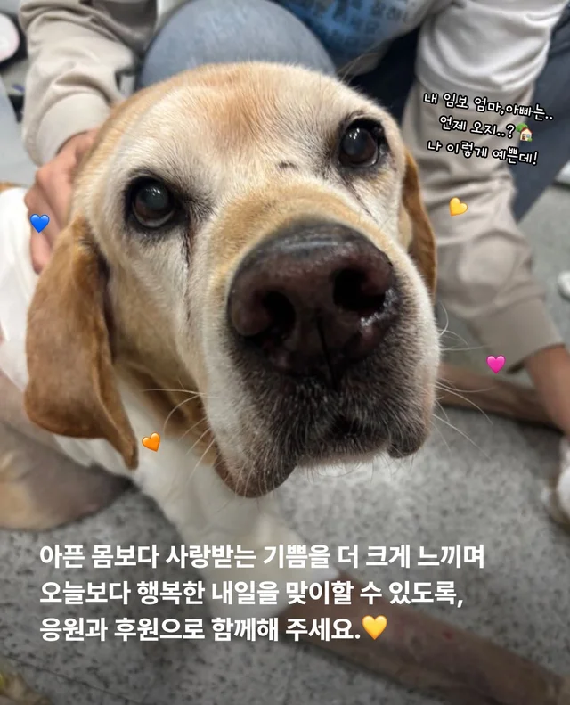 이제는 사랑 받을 차례 현장 사진