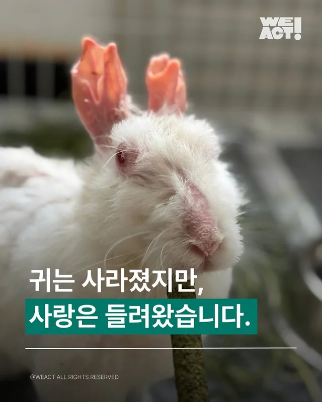 경북산불구조 - 위액트 프릴 현장 사진