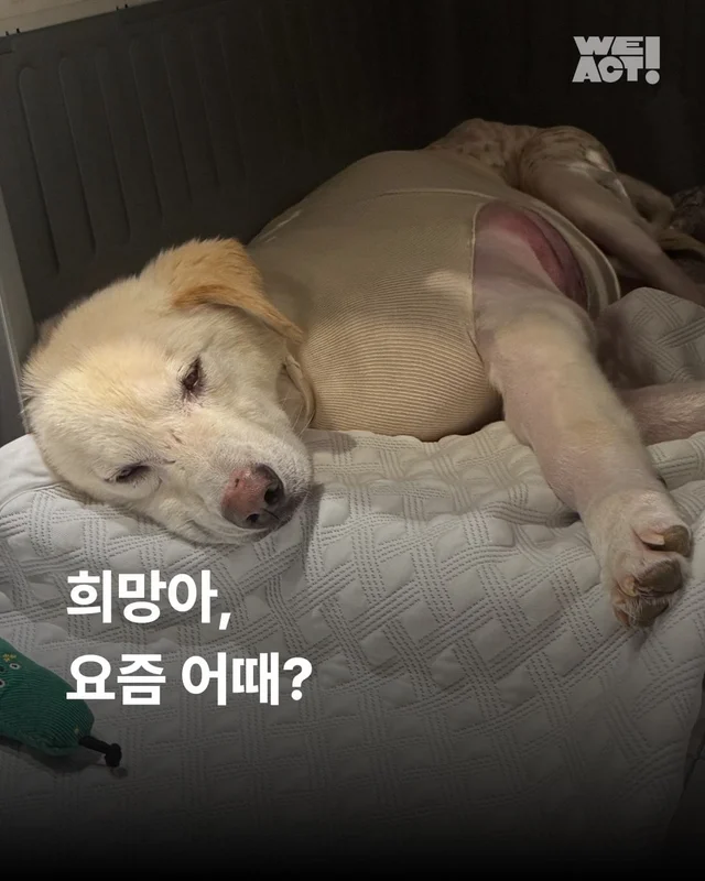 희망아 요즘 어때? 현장 사진