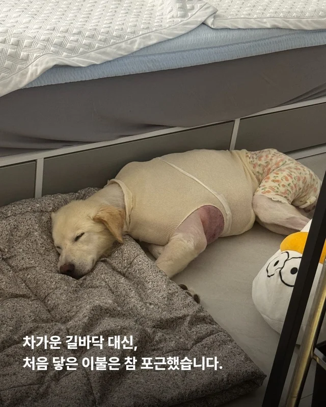 희망아 요즘 어때? 현장 사진