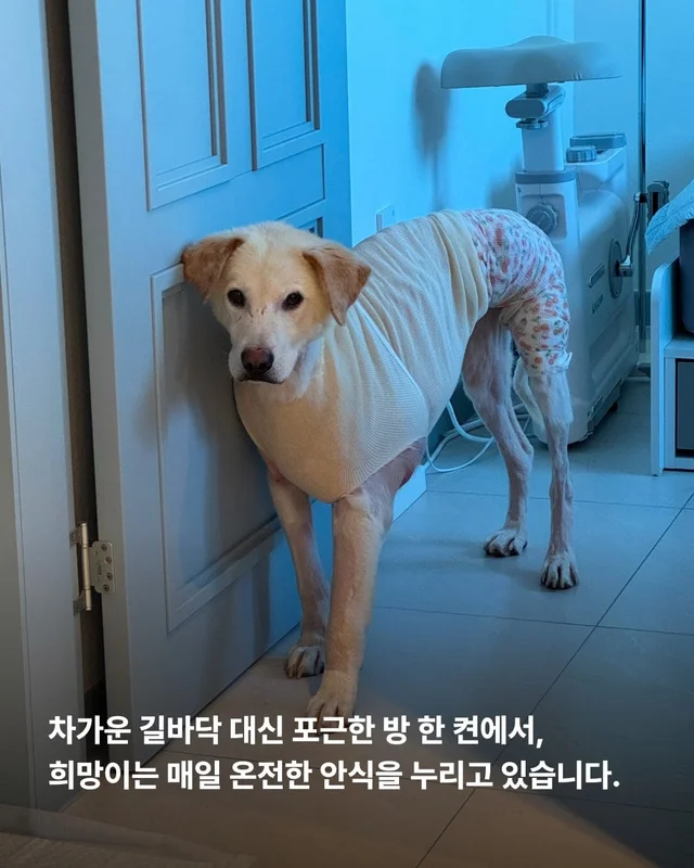 희망아 요즘 어때? 현장 사진