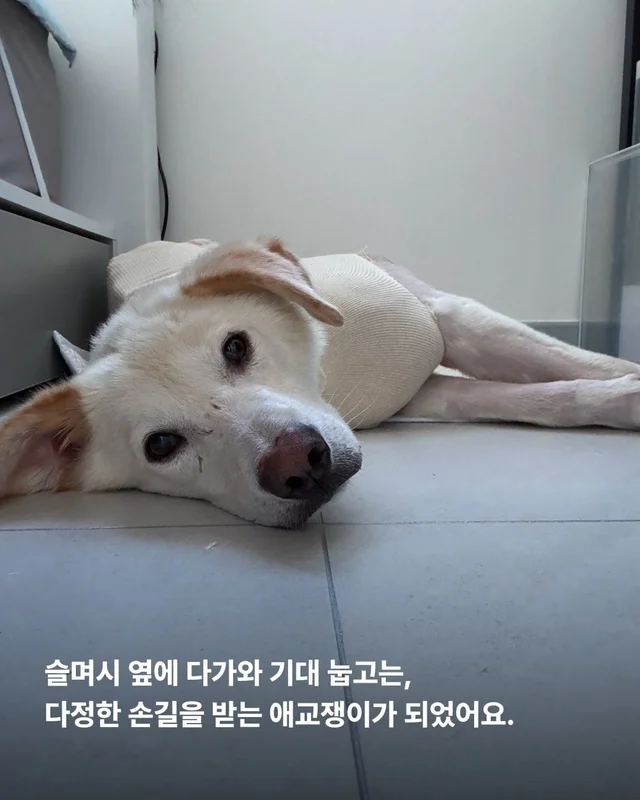 희망아 요즘 어때? 현장 사진