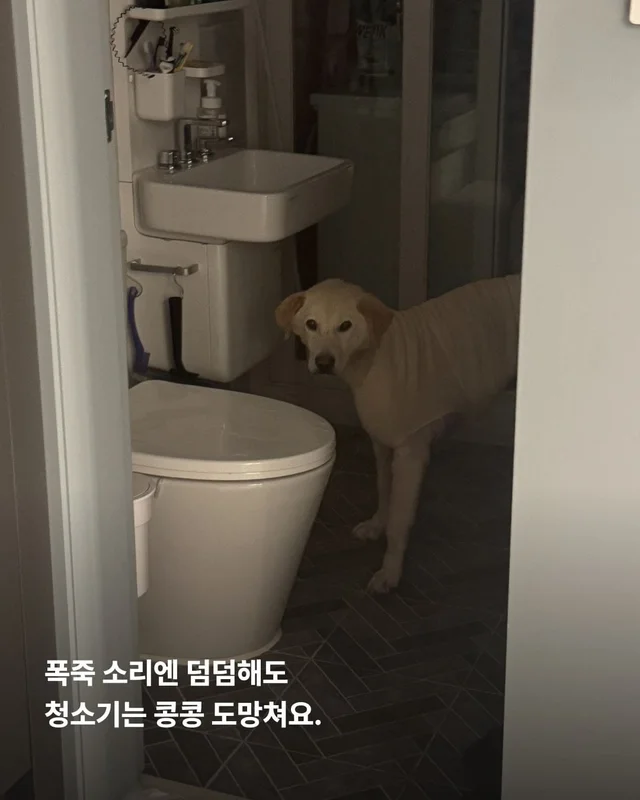 희망아 요즘 어때? 현장 사진