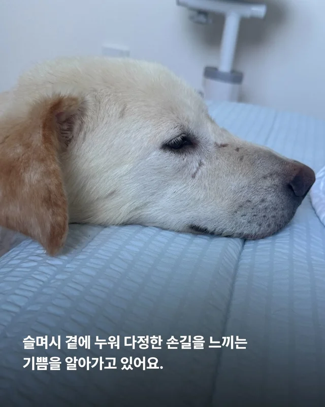희망아 요즘 어때? 현장 사진